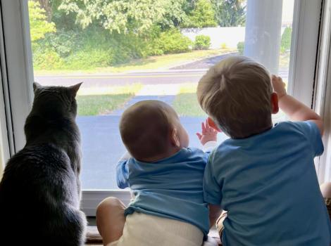 Bruce the cat with Ollie and the baby